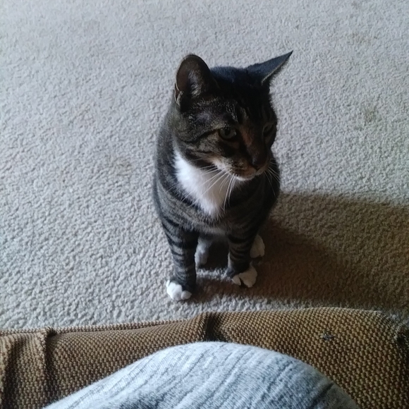 Meet your Posher, Megan - Picture 7 of 11